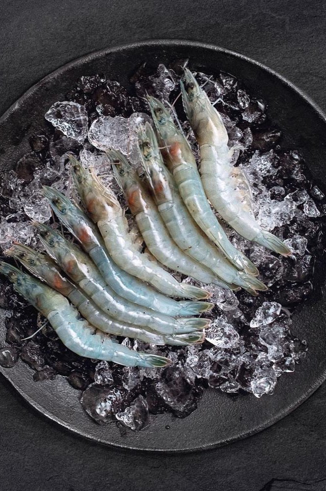 Frozen King Prawn