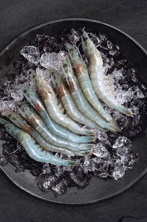 Frozen King Prawn