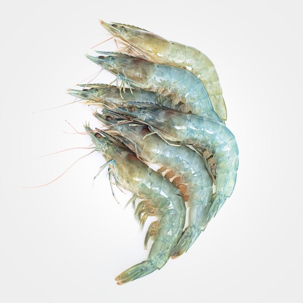 King Prawns